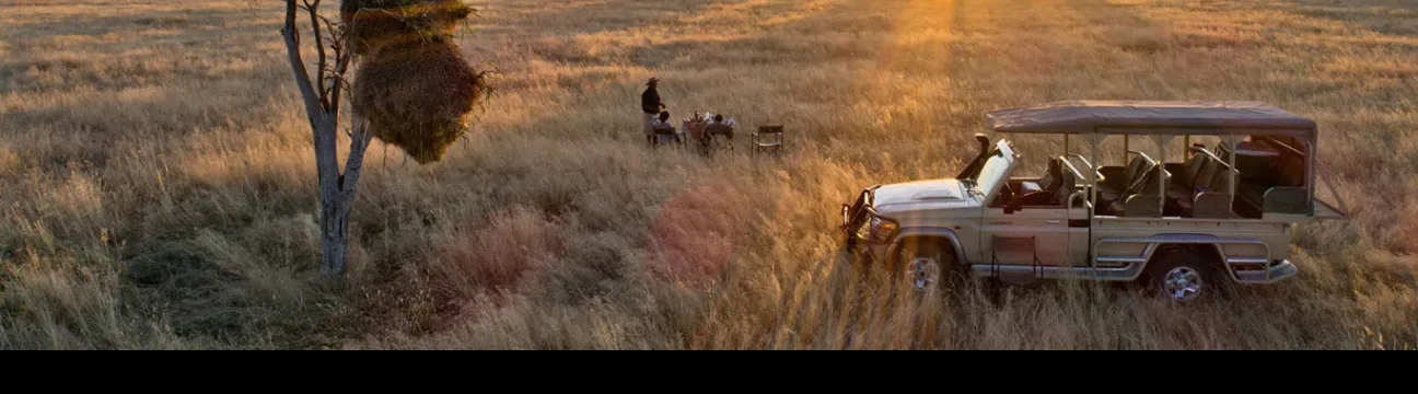 cheetahsafaris