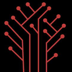 DigitalMonk