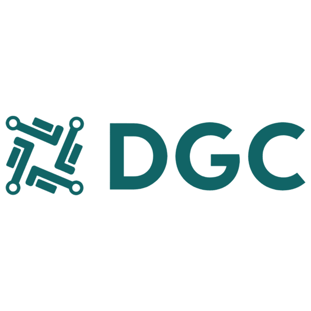LiDigitalGrowthCatalyzeLLCmousine