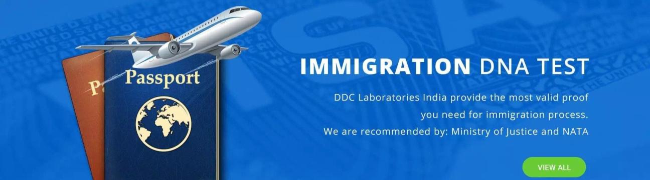 ddclaboratories