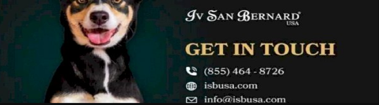 isbusa