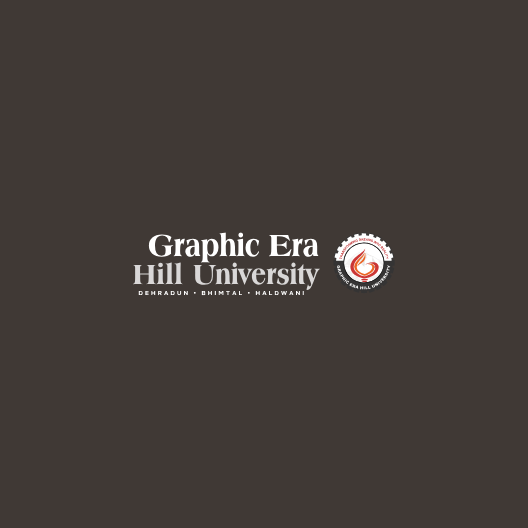graphicerahilluniversity1