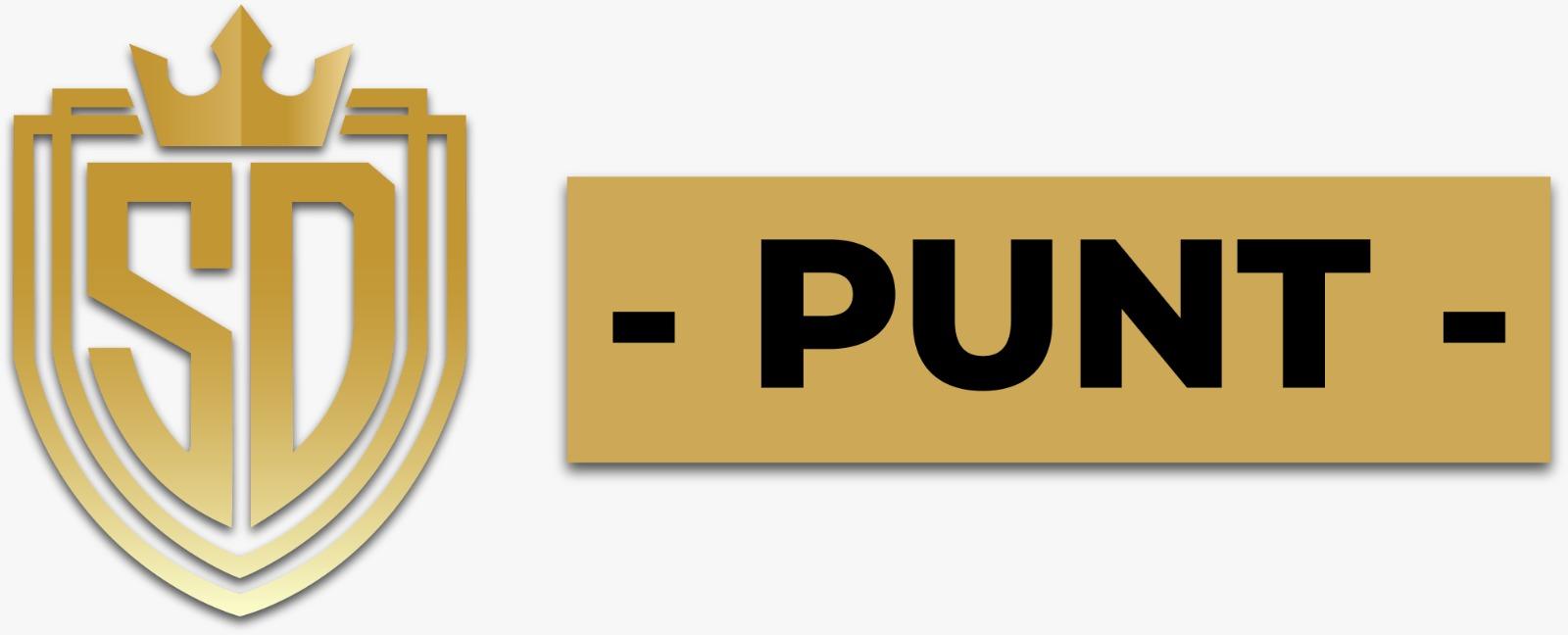 Sdpunt1