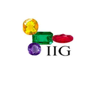 indianinstituteofgemology