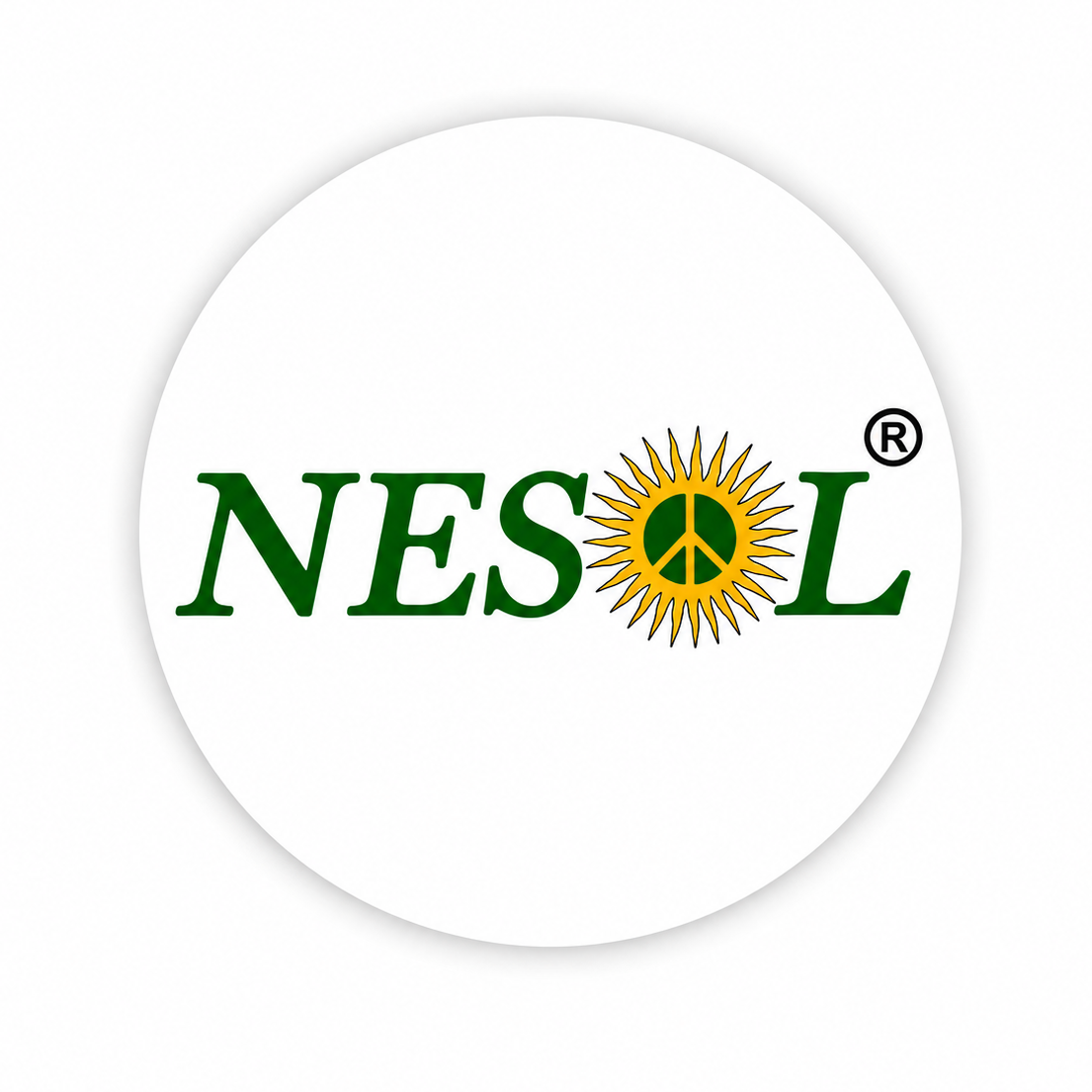 NesolEnergiesPvtLtd